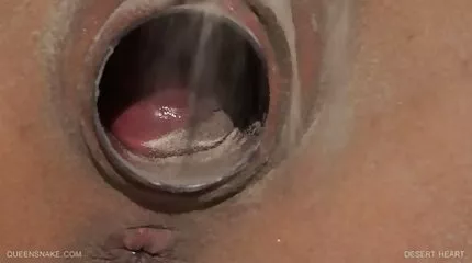 Seth วีดีโอ โป็ Gumble fucks Gianna Dior ทั้งแข็งและอ่อน